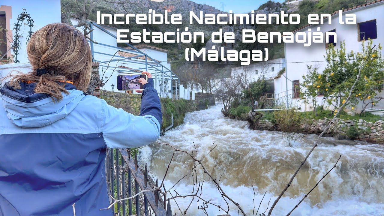 Increíble Nacimiento en la Estación de Benaoján (Málaga) tras las lluvias #malaga #benaojan #shorts 