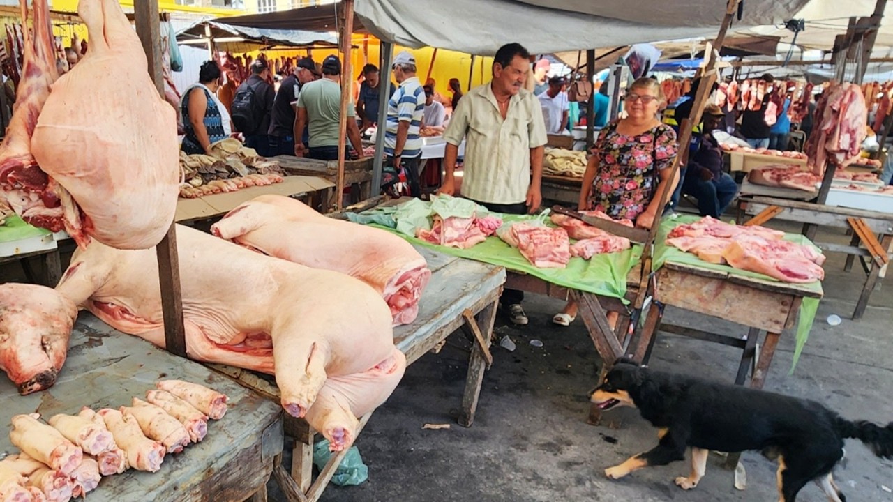 PEIXE DE 5 REAIS SÓ NO NORDESTE BRASILEIRO