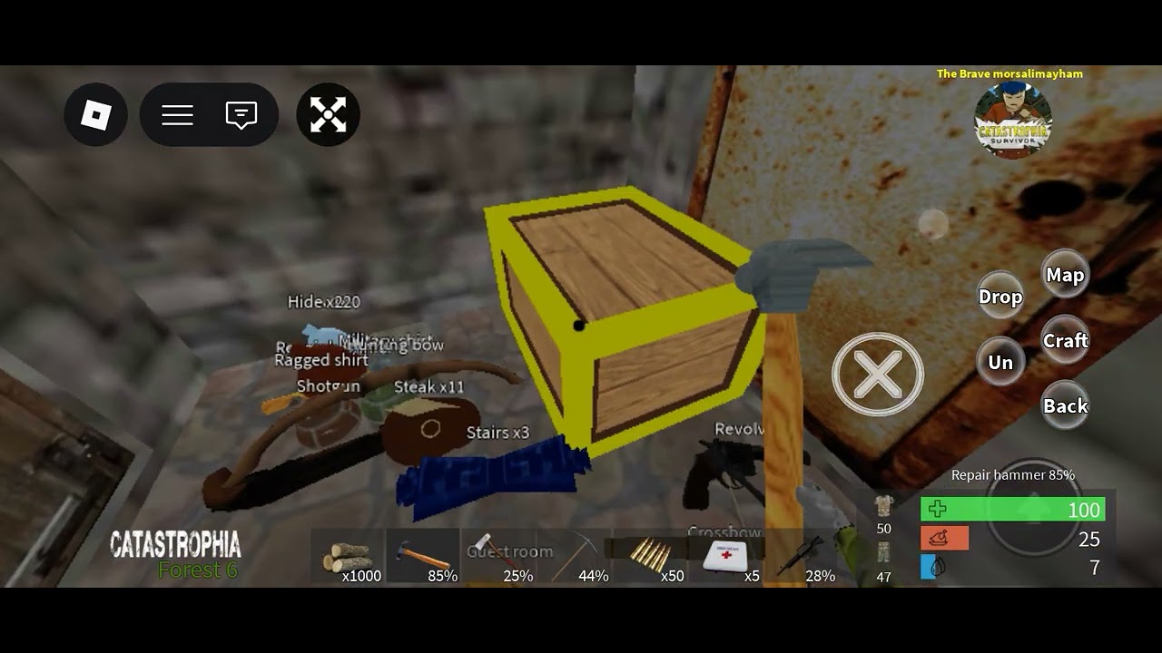 Despawn loot in catastrophia 