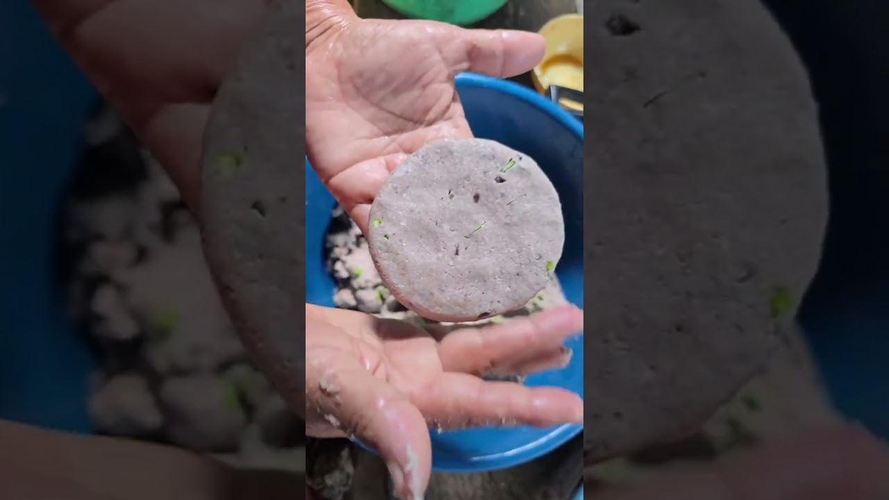 Bocolitos de frijol con cilantro | Antojito huasteco