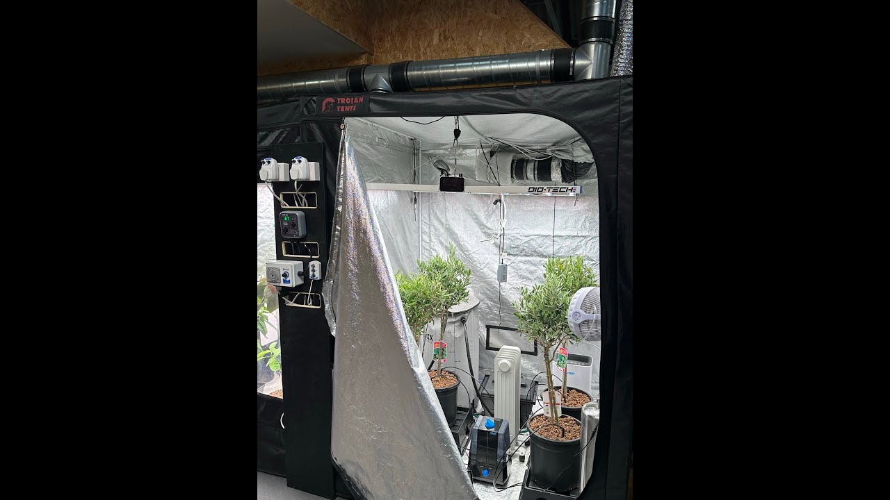 𝗚𝗲𝘁𝘁𝗶𝗻𝗴 𝘁𝗵𝗲 𝗯𝗲𝘀𝘁 𝗼𝘂𝘁 𝗼𝗳 𝗖𝗢𝟮 𝘀𝘂𝗽𝗽𝗹𝗲𝗺𝗲𝗻𝘁𝗮𝘁𝗶𝗼𝗻 𝗶𝗻 𝘆𝗼𝘂𝗿 𝗴𝗿𝗼𝘄 𝗿𝗼𝗼𝗺 𝗲𝗻𝘃𝗶𝗿𝗼𝗻𝗺𝗲𝗻𝘁!