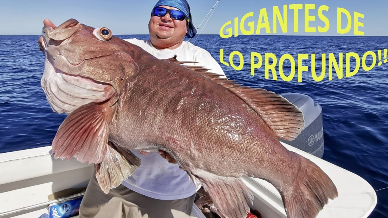 Pescando GIGANTES a 300m de profundidad!! Jigging!!