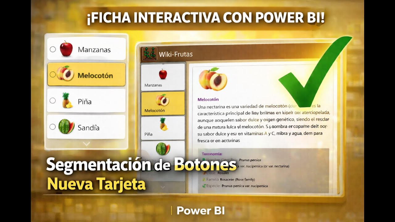 Cómo crear un reporte tipo WIKI en Power BI (New Slicer & New Card)