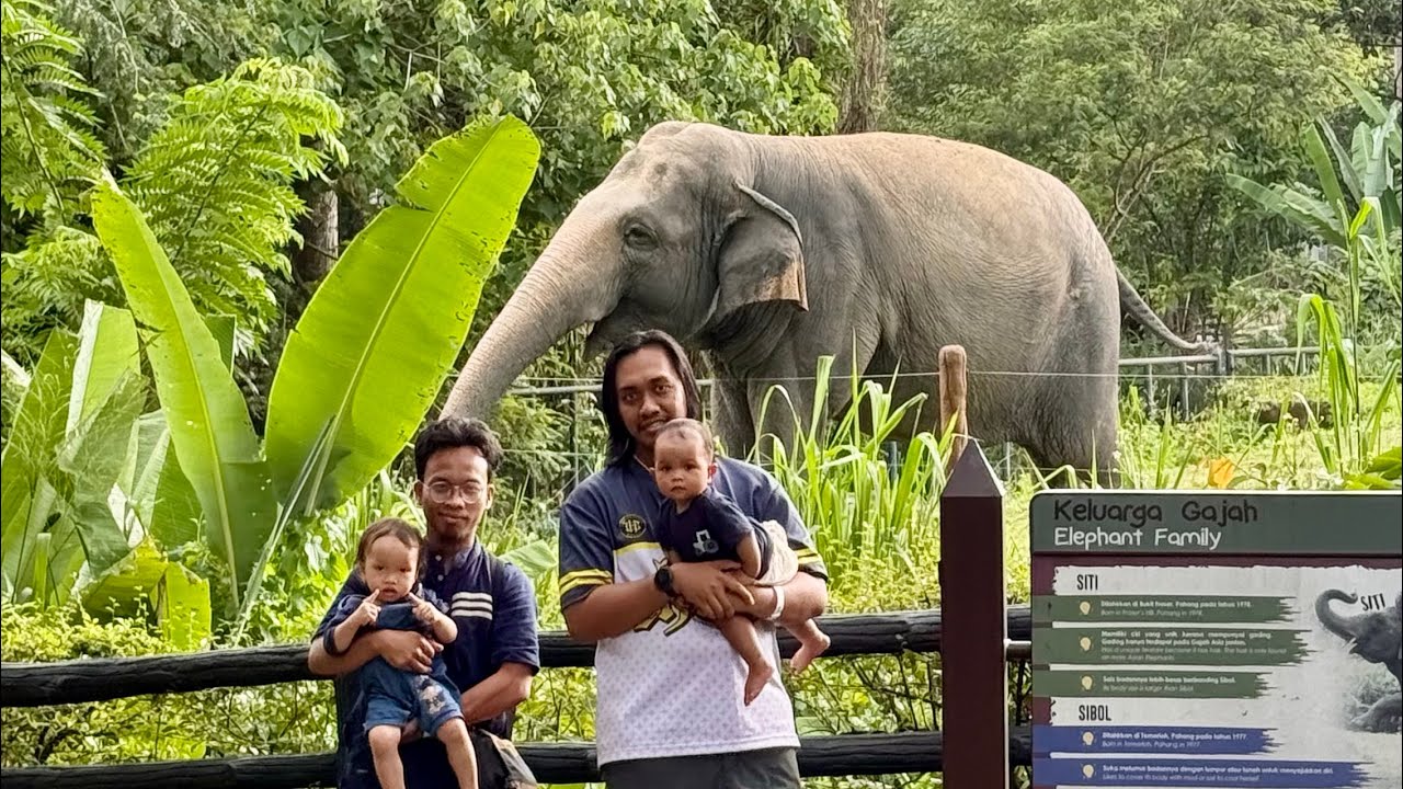 Semua kiciwaa zoo negara boringgg