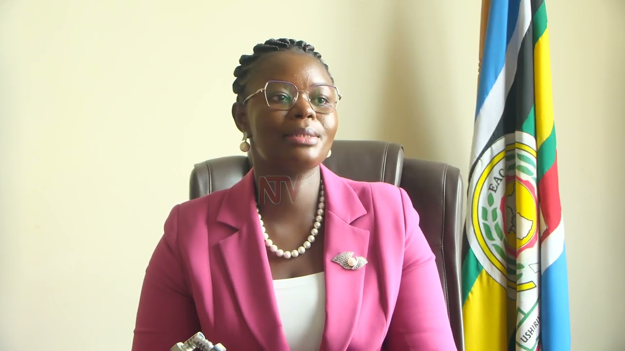 Okwerinda ebigwabitalaze: Minisita Aber agamba betaaga ssente okudduukirira abantu