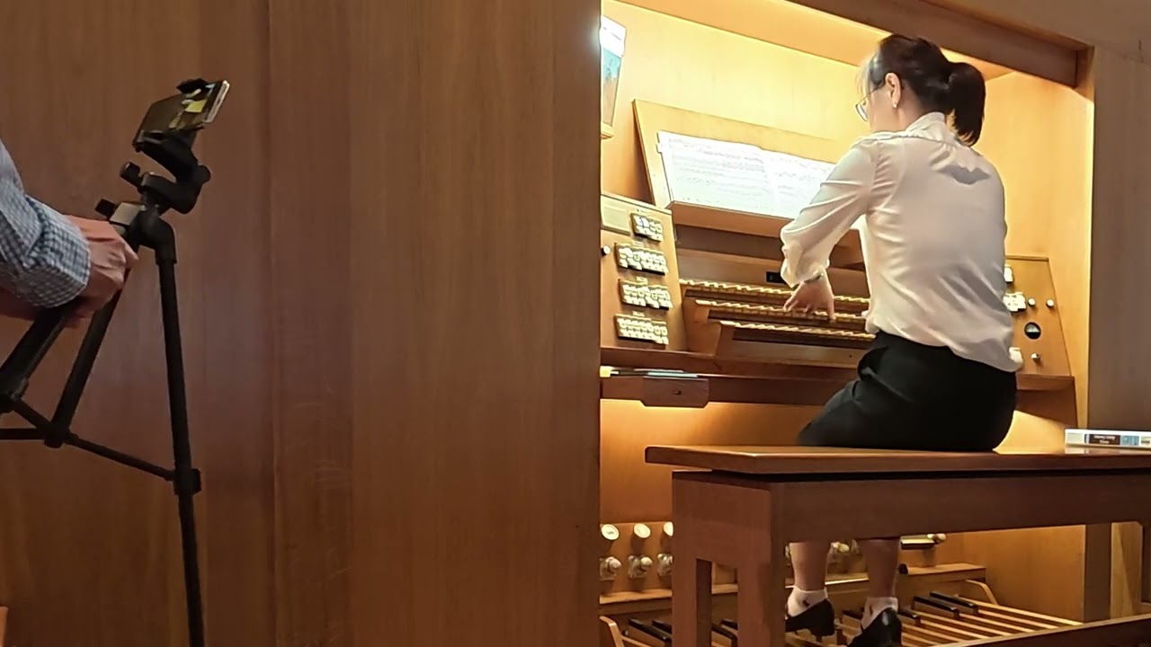 J. S. Bach Toccata and Fugue in d minor, BWV 565