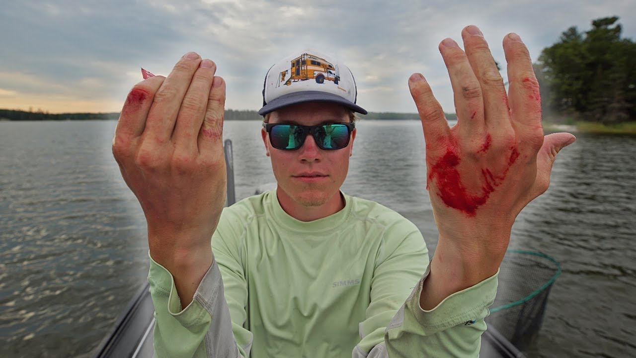 When Nature FIGHTS BACK (Ouch)