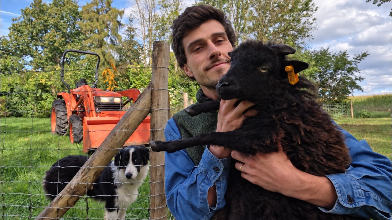 Tout s'acc&eacute;l&egrave;re dans ma micro-ferme