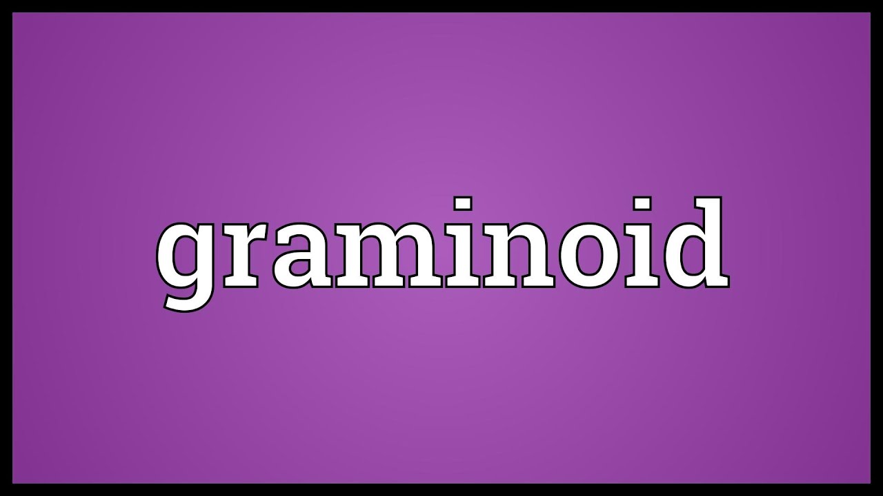 Graminoid Meaning