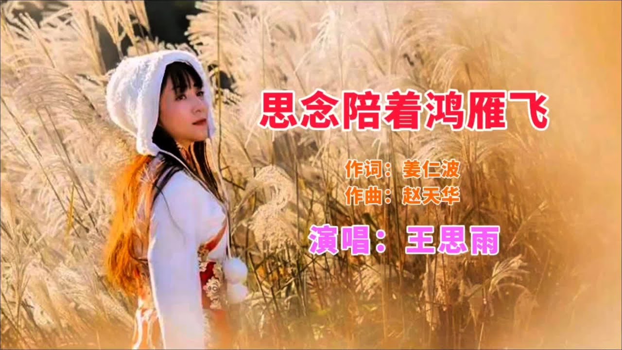 听王思雨演唱的《思念陪着鸿雁飞》，仿佛经历了一场心灵的洗礼 #音乐分享 #每日推荐音乐 #百听不厌 #好歌推荐 #音乐推荐