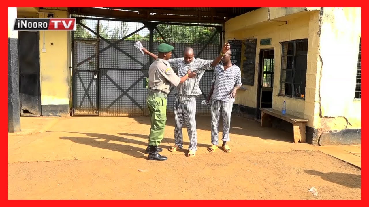 Ohwo a wendia wa bangi na ndawa cia kurebia mugaru na watho; #NjerainiCitu