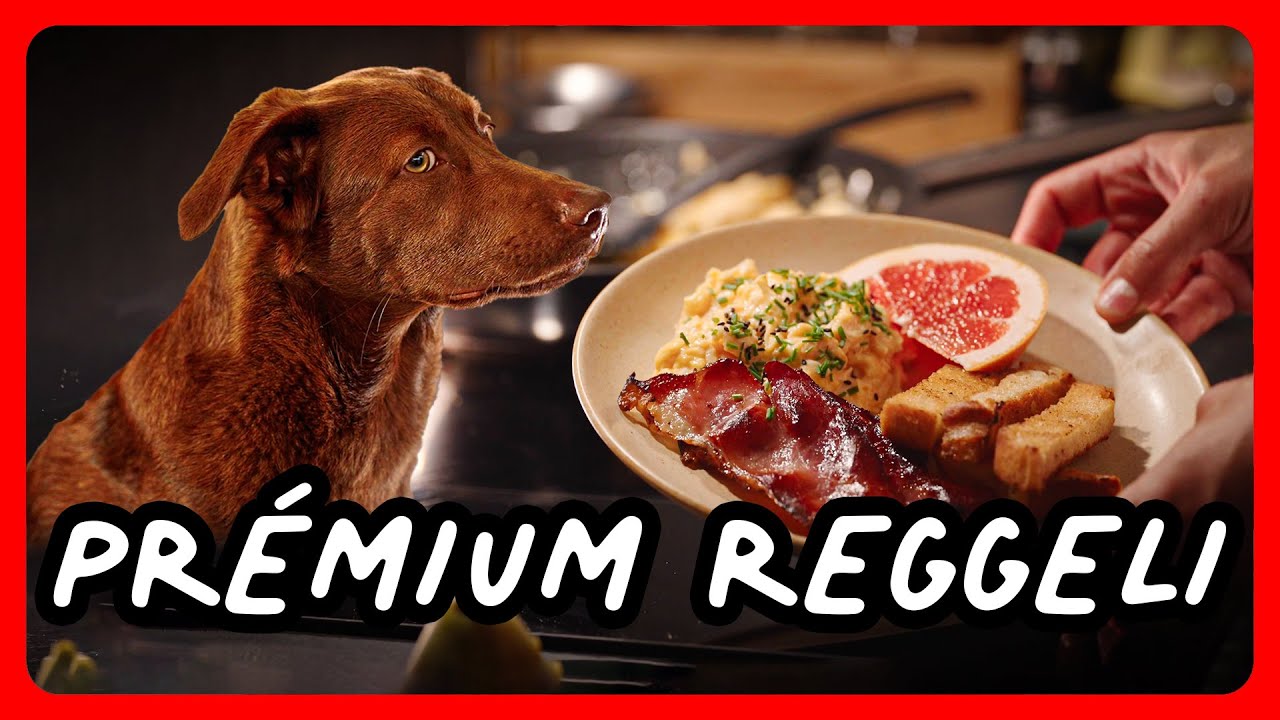 Prémium reggeli - királyi rántotta