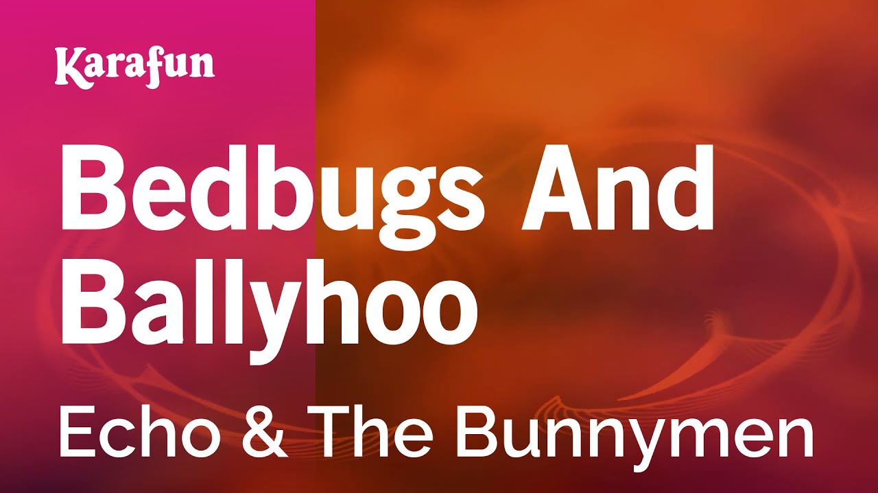 Bedbugs And Ballyhoo - Echo & The Bunnymen | Karaoke Version | KaraFun