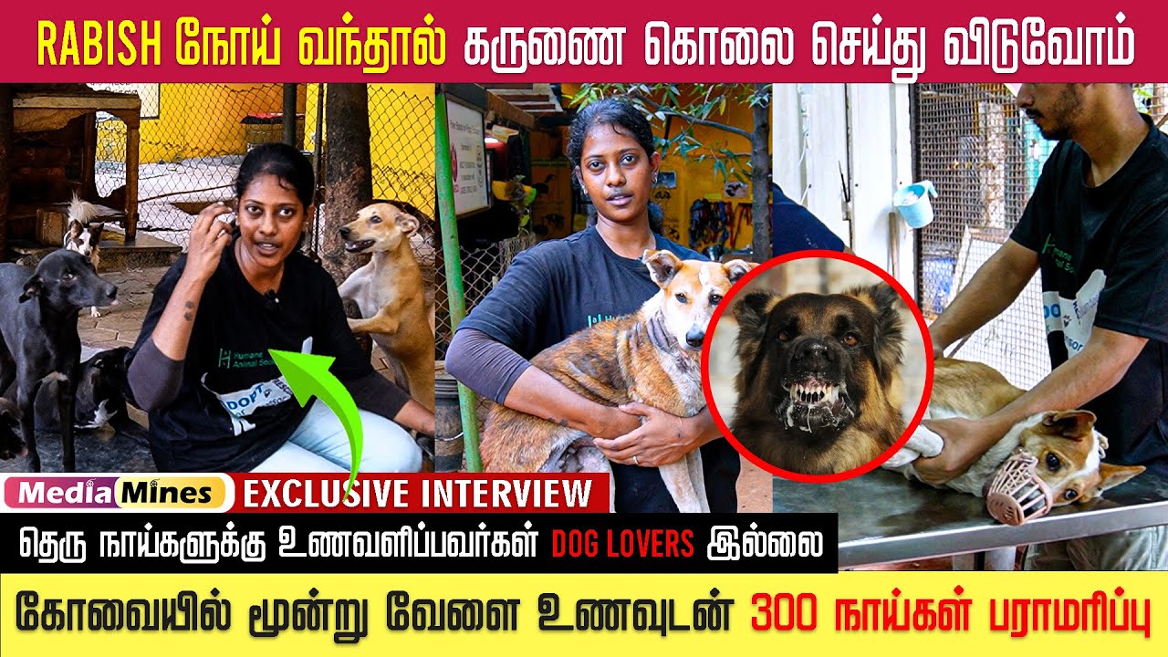 Rabies மூலம் பரவும் மரணம்! | இரத்தக் காயங்களுடன் தெருவில் தவிக்கும் நாய்கள் #dogs #coimbatore