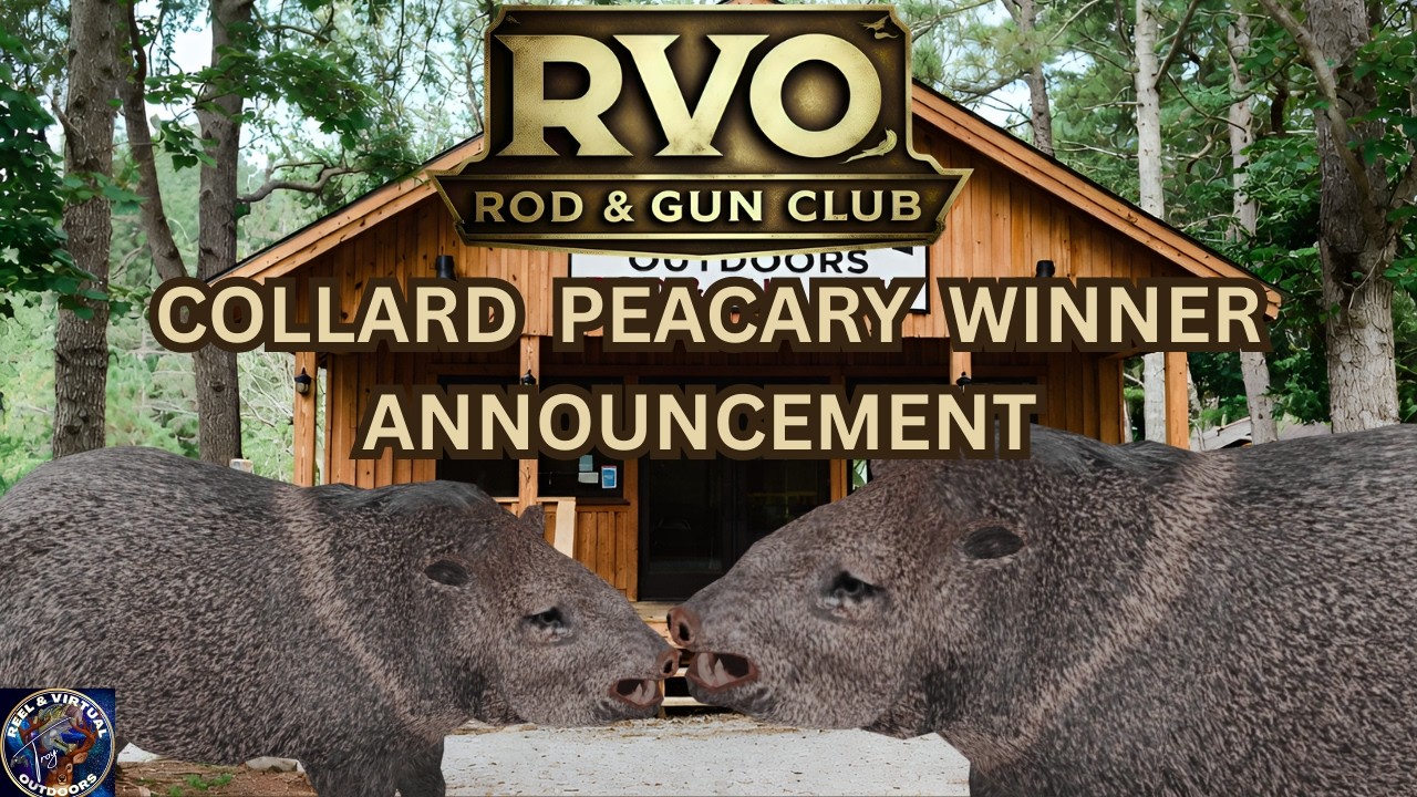 RVO ROD & GUN CLUB COLLARD PEACARY COMPETITION WINNER ANNOUNCEMENT