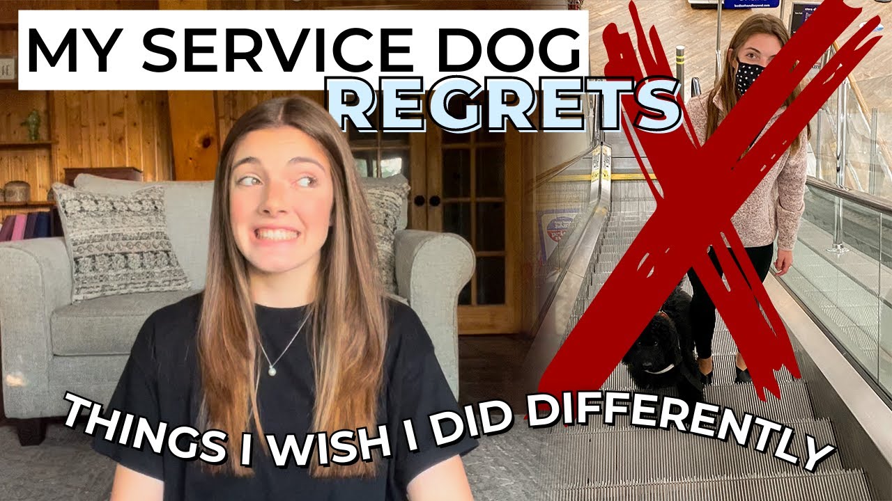 MY SERVICE DOG REGRETS