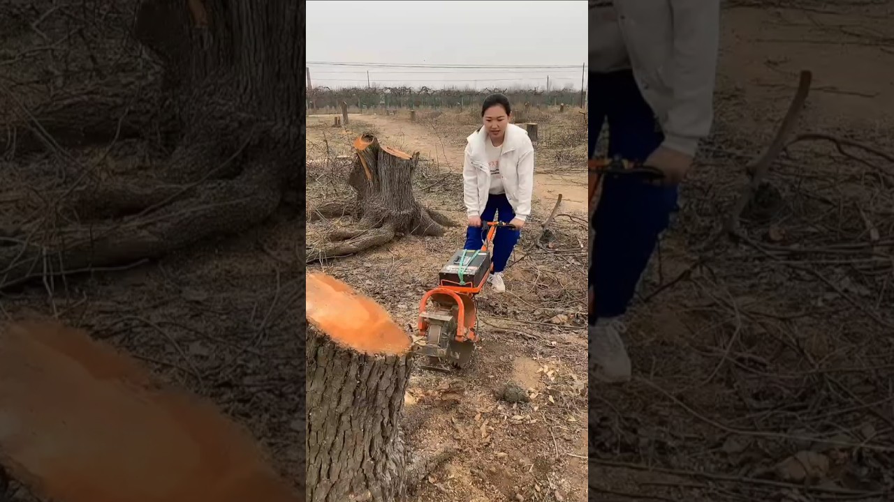 Electric weeder