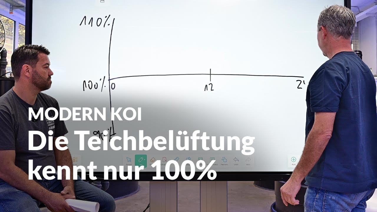 Treibt die Belüftung wertvollen Sauerstoff aus dem Wasser ? | Modern Koi Blog #6648