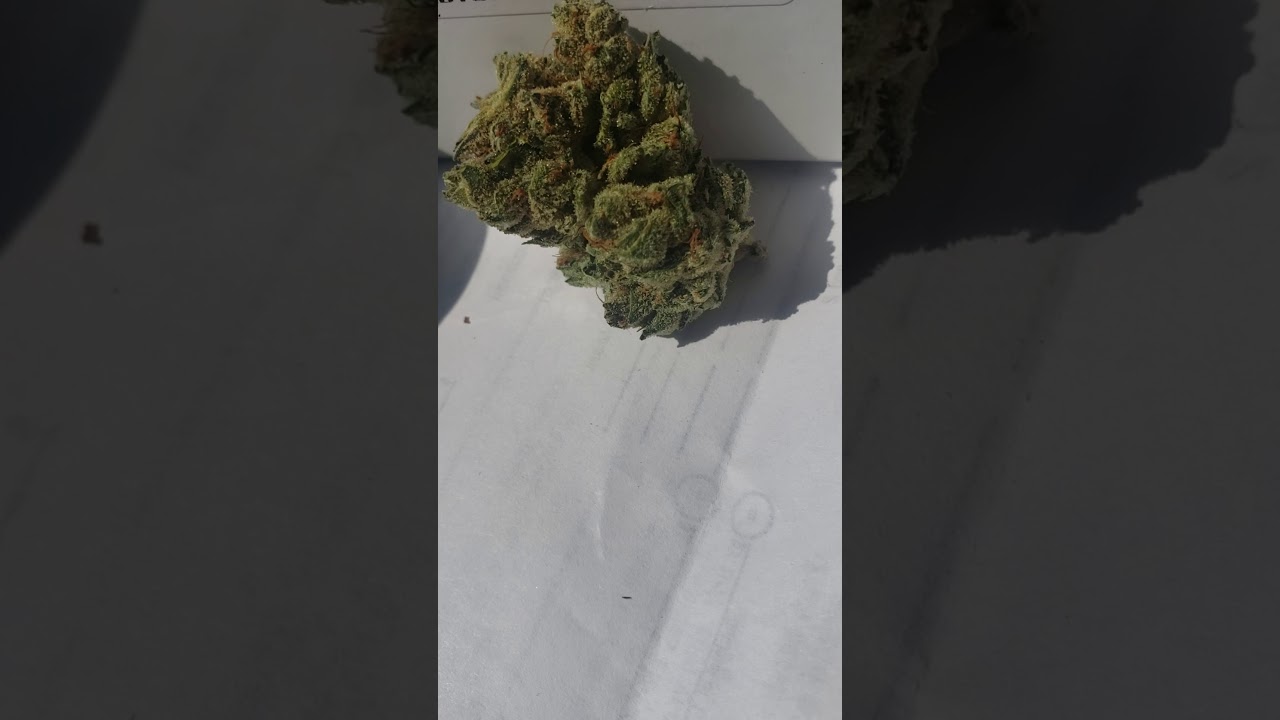 🍓💨Medical Marijuana Review #61: Strawberry Kush : GTI Rythm