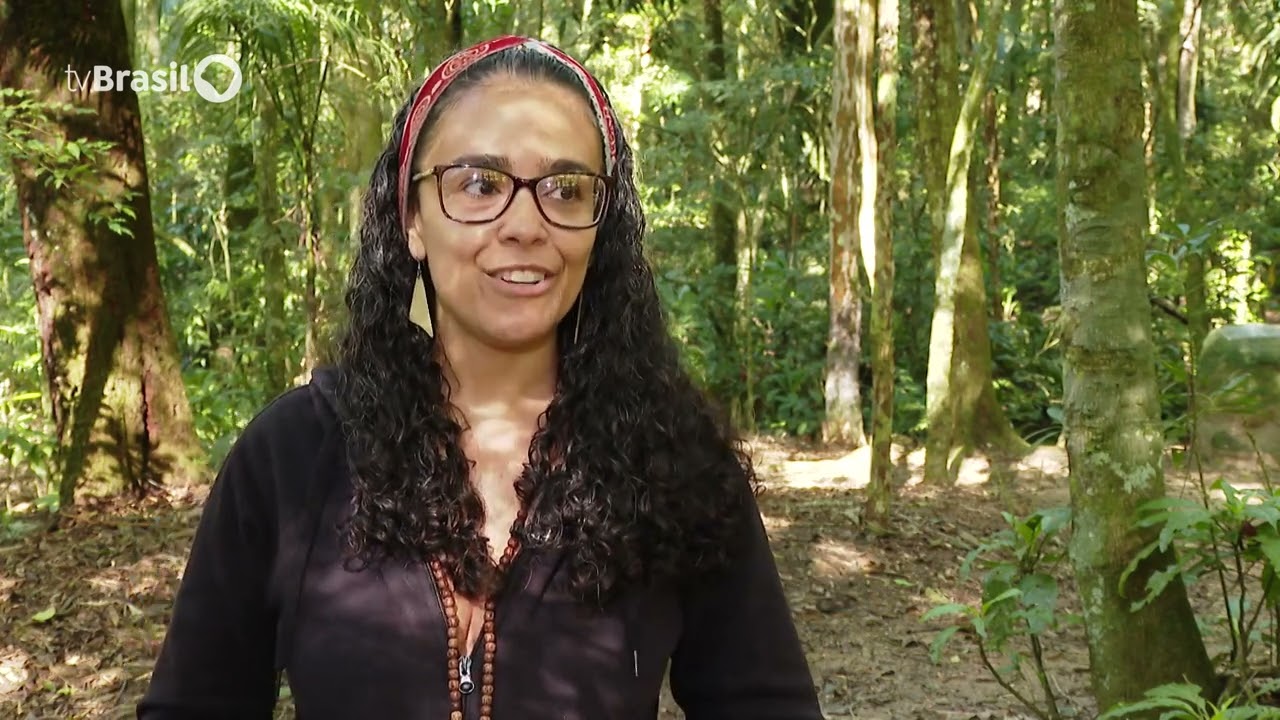 Caminhos da Reportagem | Uma Floresta no Coração do Rio