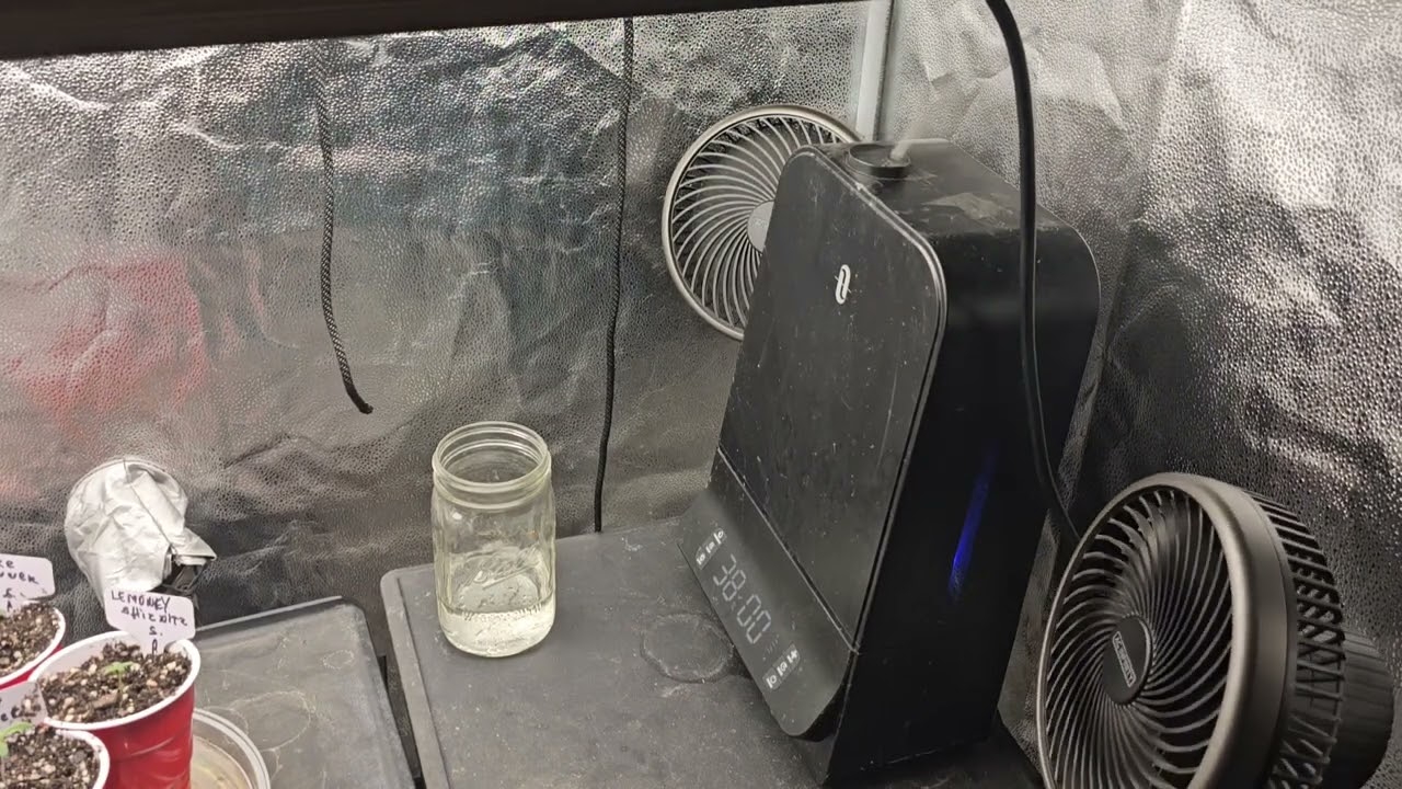 Proper temperature and humidity for your seedlings. What is VPD?