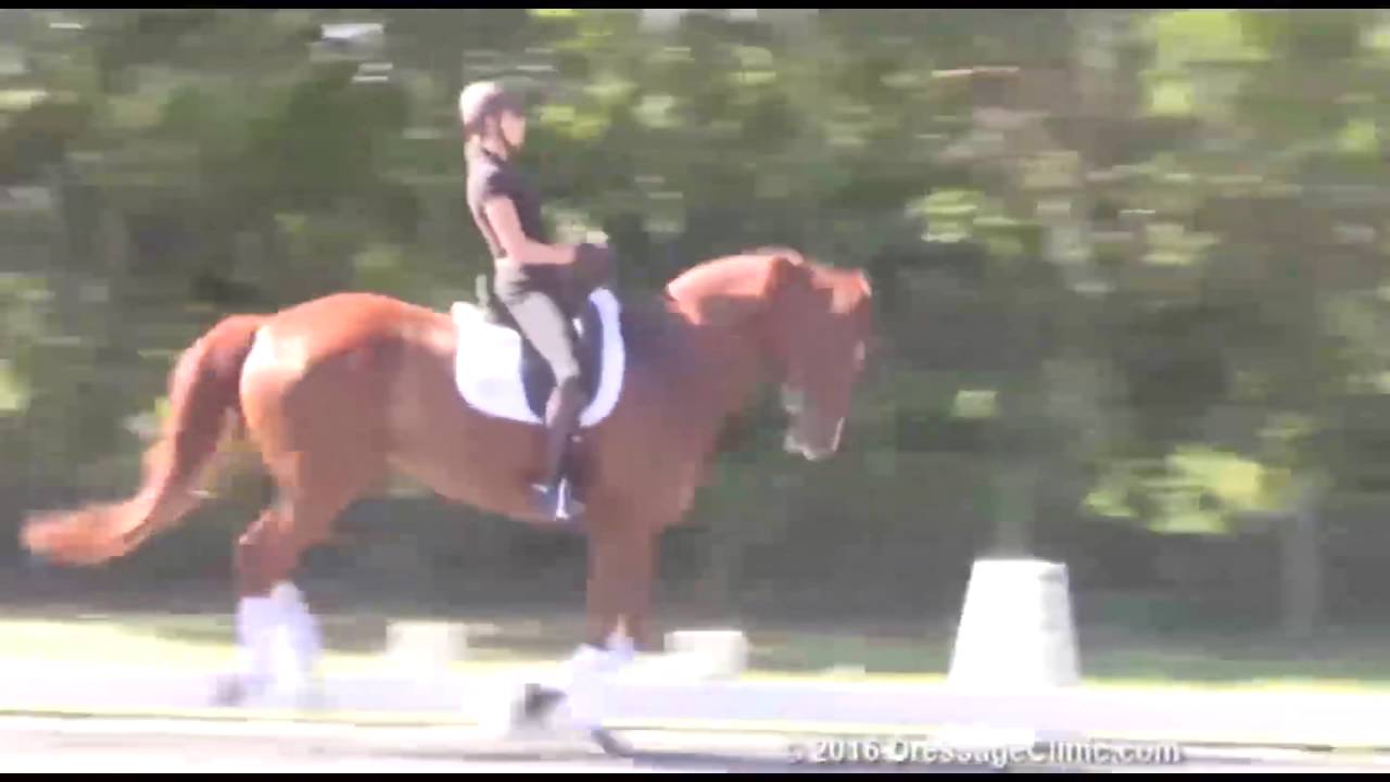 DressageClinic.com Presents Shannon Dueck Riding& Lecturing Question  8 yrs. old sample 3012016