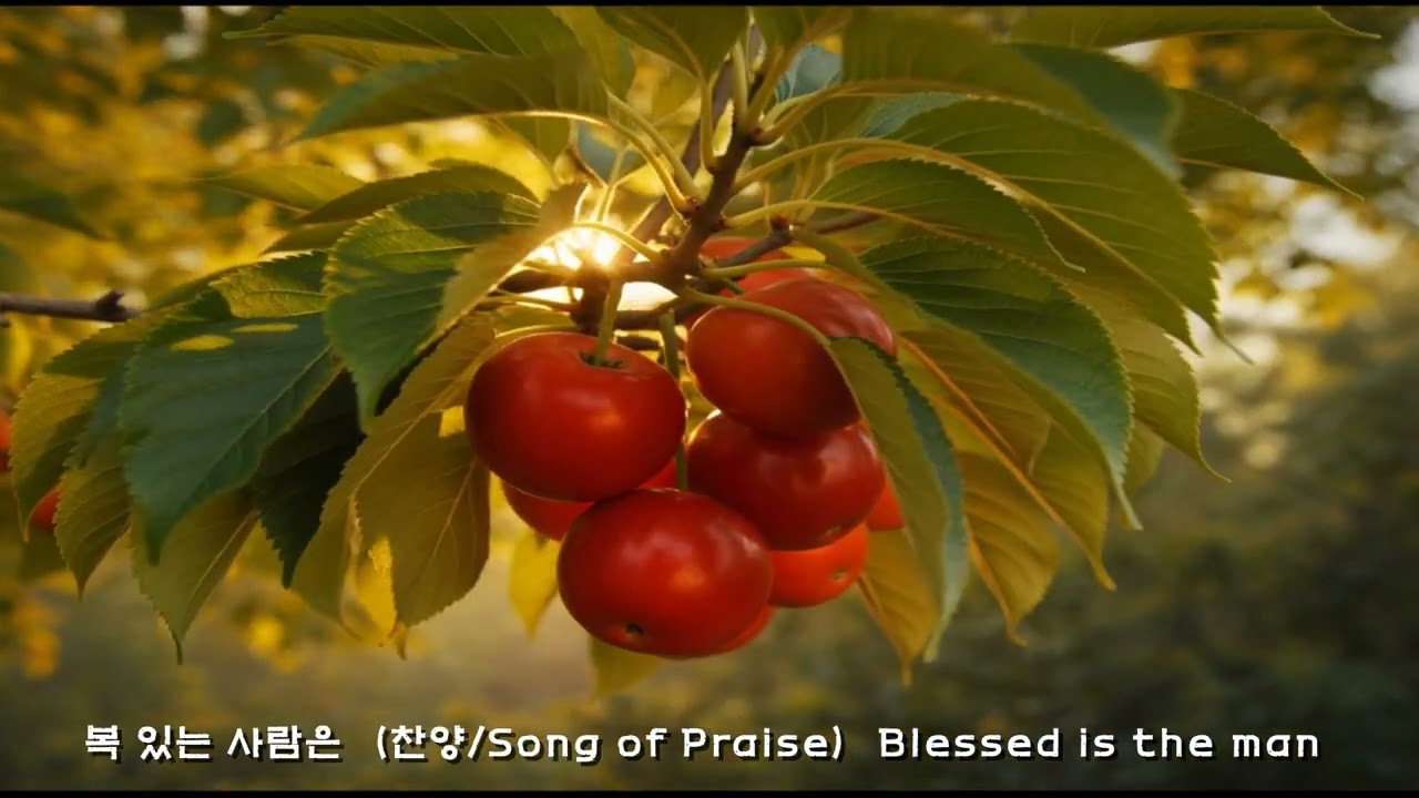 (찬양🍀) 복있는 사람은 /Blessed is the man  #christianmusic  #jesus#Peace#hope#Gospel