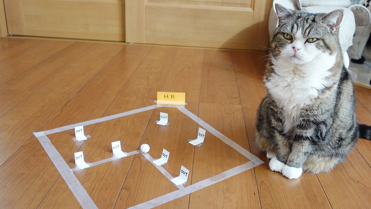 野球とねこ。-Cats and Baseball.-
