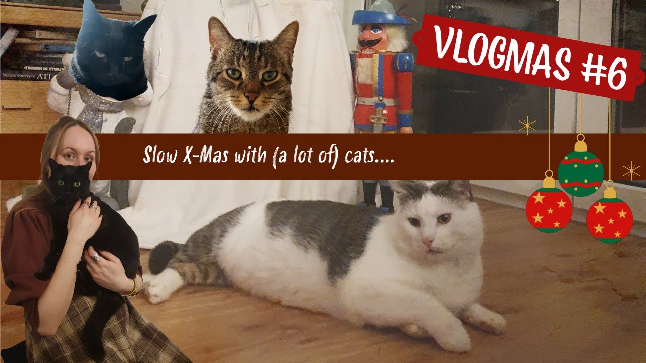 Vlogmas Folge #6: Slow x-mas with cats ❤️🐱 Weihnachtsfeiertage mit ganz vielen Katzen 🐱