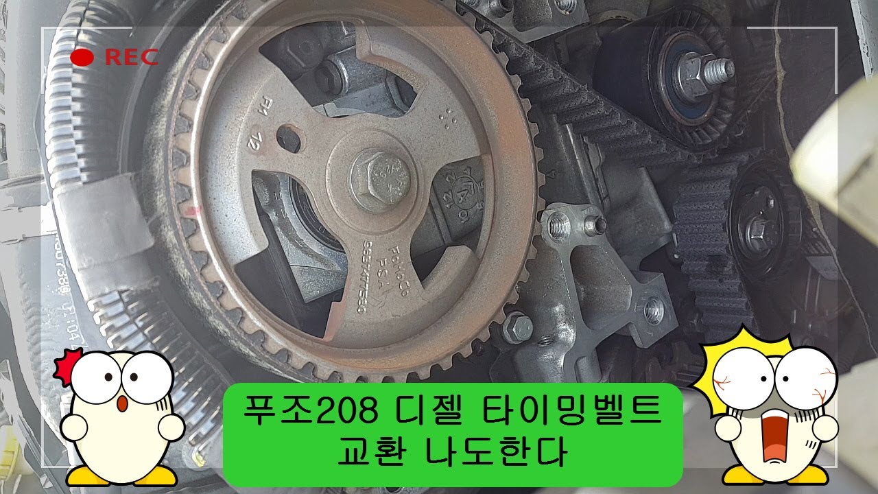 도전 푸조타이밍벨트교환