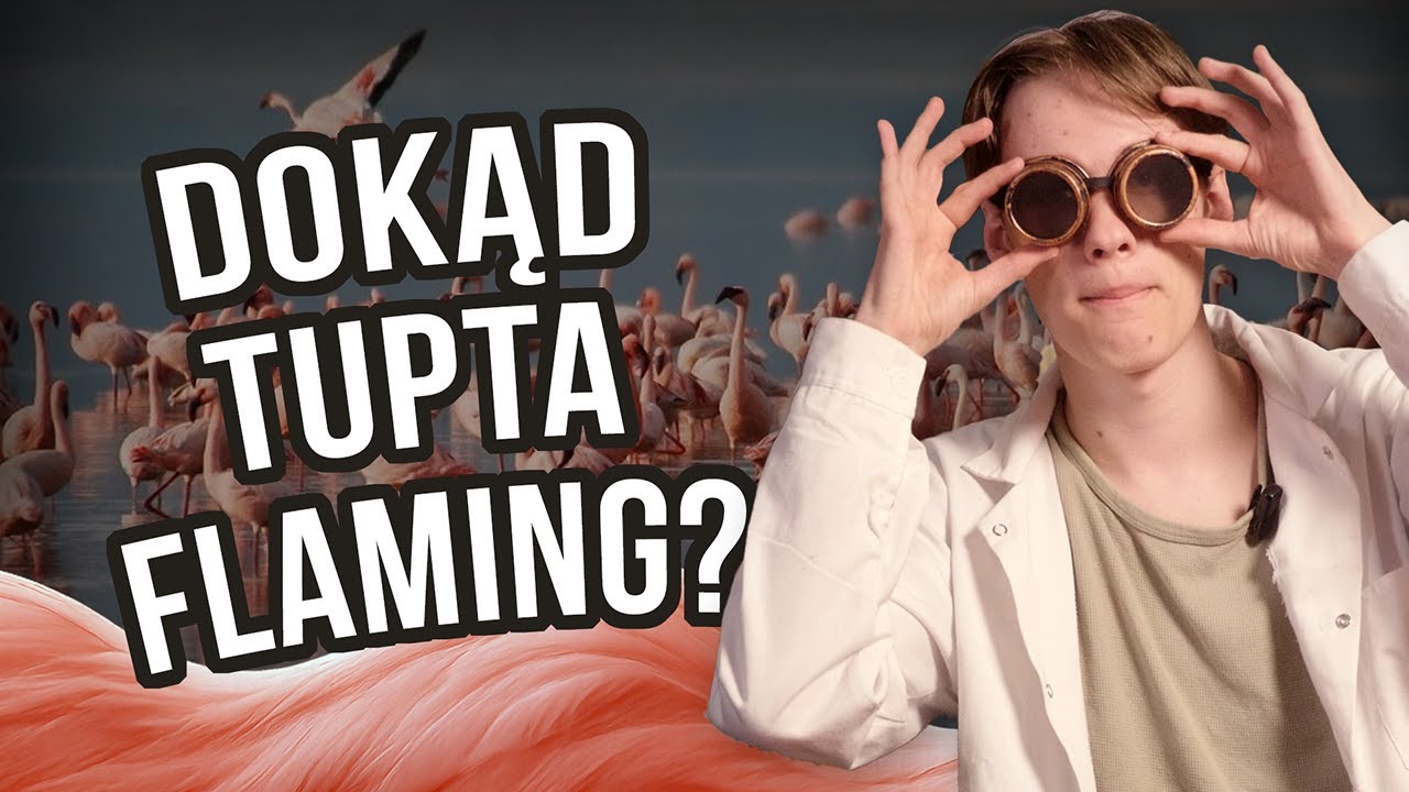 🦩DOKĄD TUPTA ZA DNIA FLAMING? | bioHEREZJE #2
