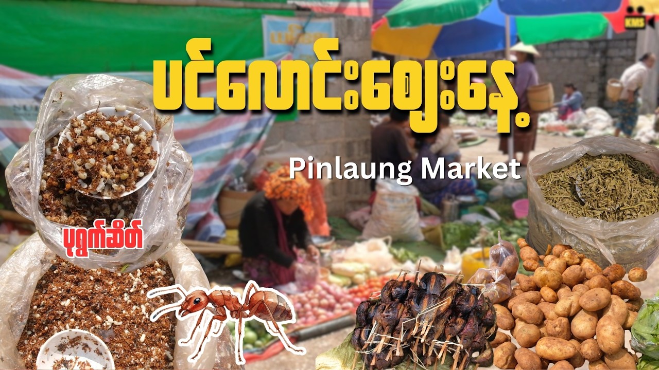 ပင်လောင်းဈေးနေ့ / Pinlaung Market , Myanmar