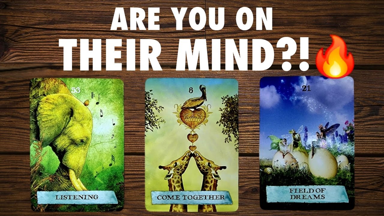 🔎🔥 ARE YOU ON THEIR MIND❓❗🤔🥵🥰 PICK A CARD LOVE TAROT READING 🔮