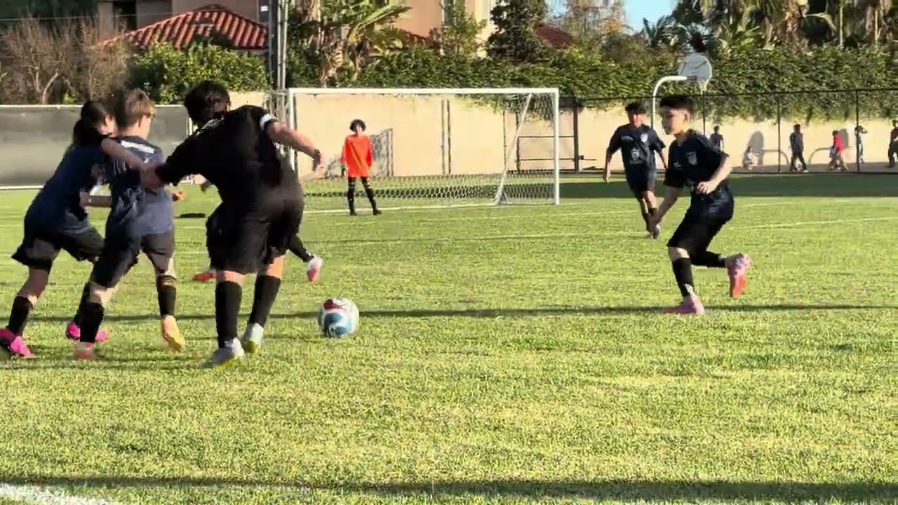 Sunkist vs Orange grove 