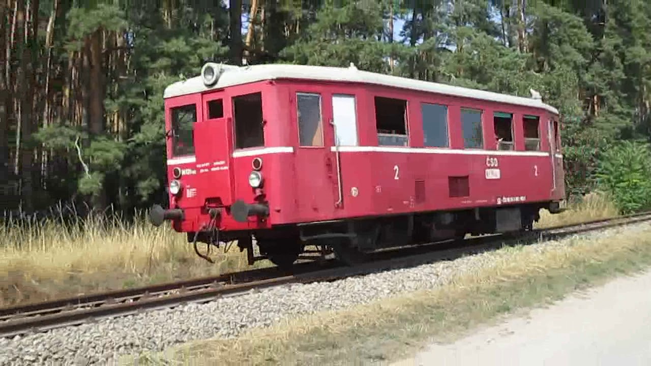 M131.1463 (801.463) Po&scaron;torn&aacute; - Boř&iacute; les