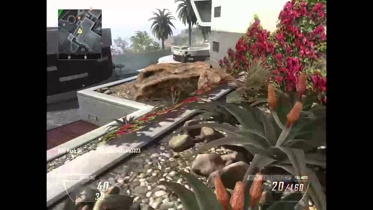 BHO Hash Oil - Black Ops II Game Clip