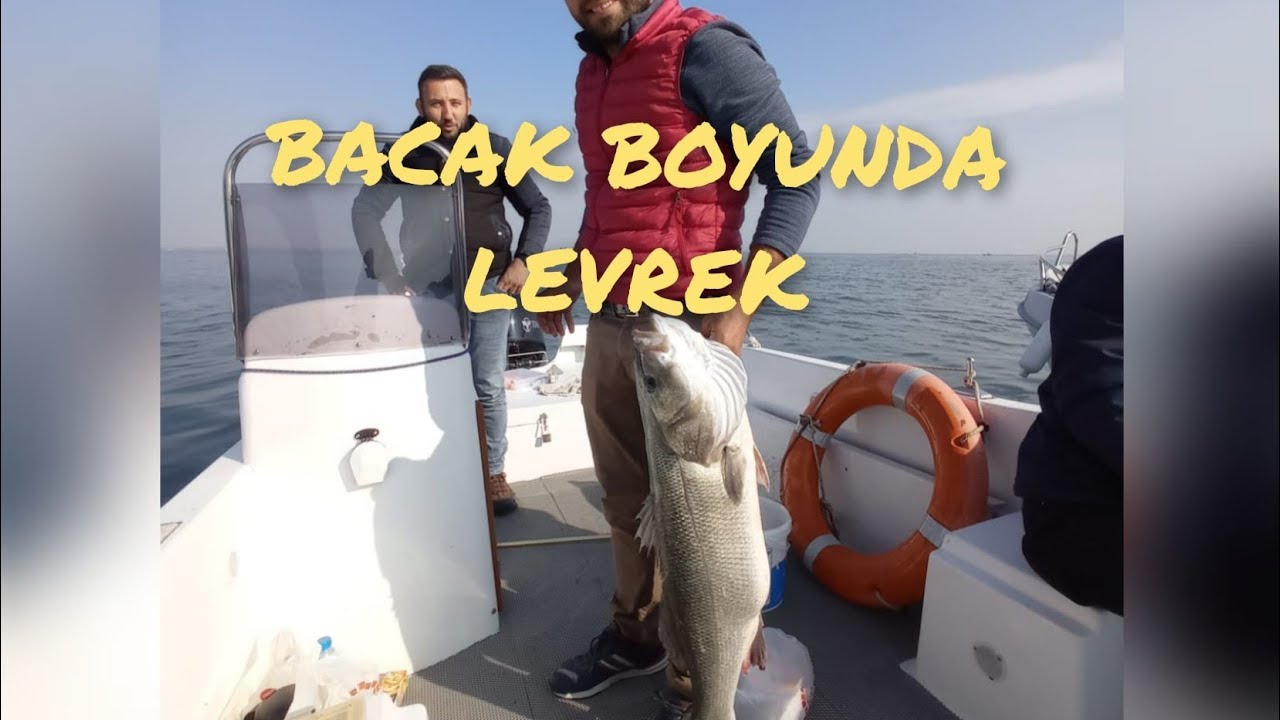 Rekor Levrek Avı 8,5 kg/ Nedir bu mavi silikon ?Sırtıda gelen sürpriz balıklar