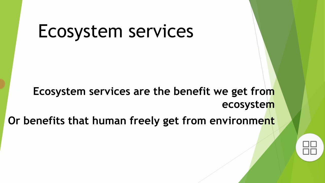 what is ecosystem services?what are the types of ecosystem services?