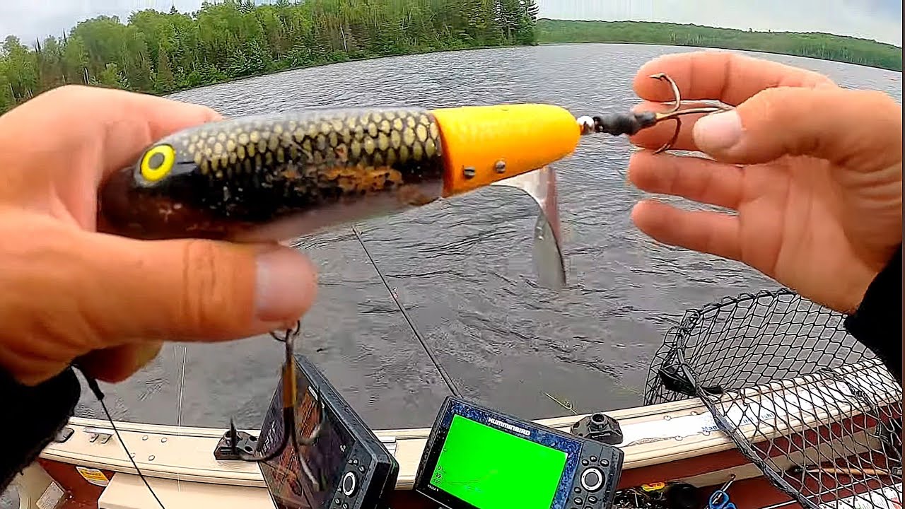 Topwater MUSKY EPIC Feeding Window!!