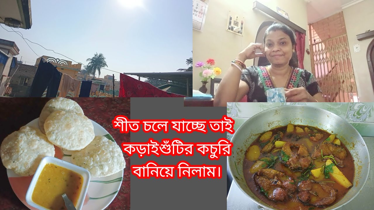 সকালে মেয়ের পছন্দের টিফিন বানিয়ে নিলাম/দুপুরে মনের মত মাছ রান্না করলাম।#viralvideo #recipes 