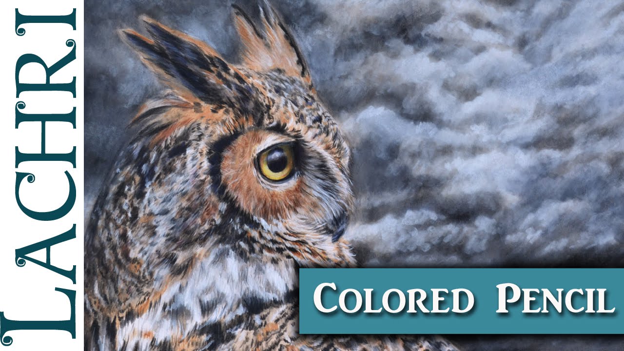 Drawing a Great Horned Owl in colored pencil w/ Lachri