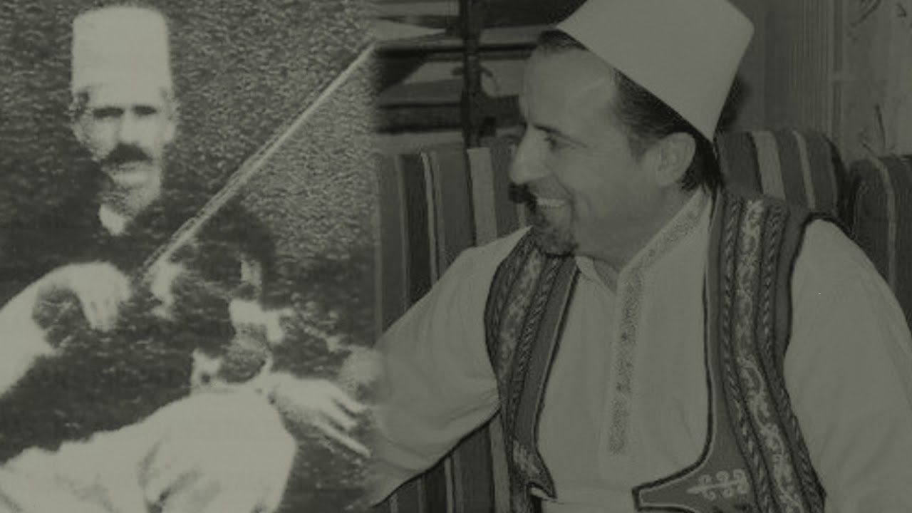 Mo mire ne pyll se ne qytet