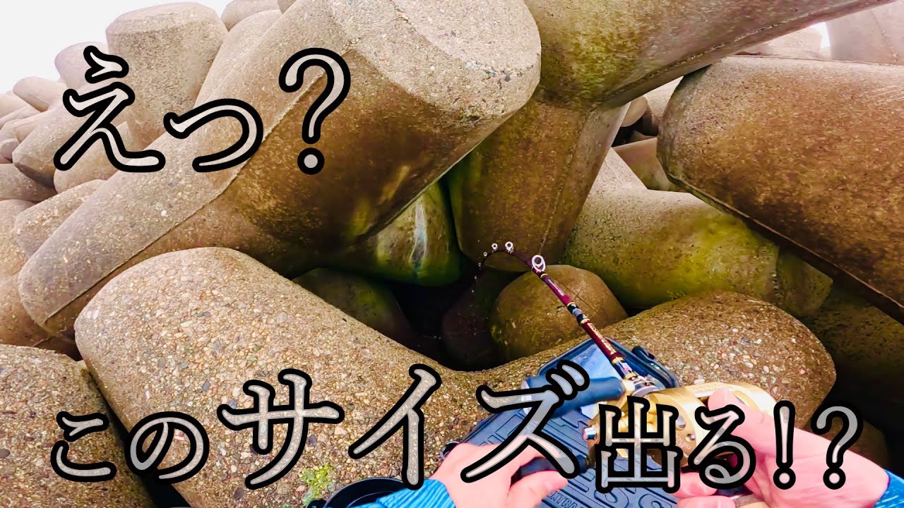 【穴釣り】モンスターロッドの試し釣りでまさかのサイズが。