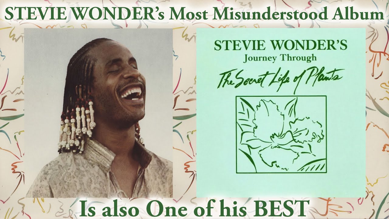 Stevie Wonder's Most Misunderstood Album Is Also One of His Best