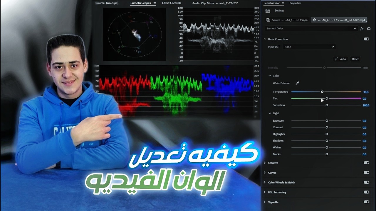 شرح تصحيح الألوان في بريمير خطوة بخطوة (Color Grading)