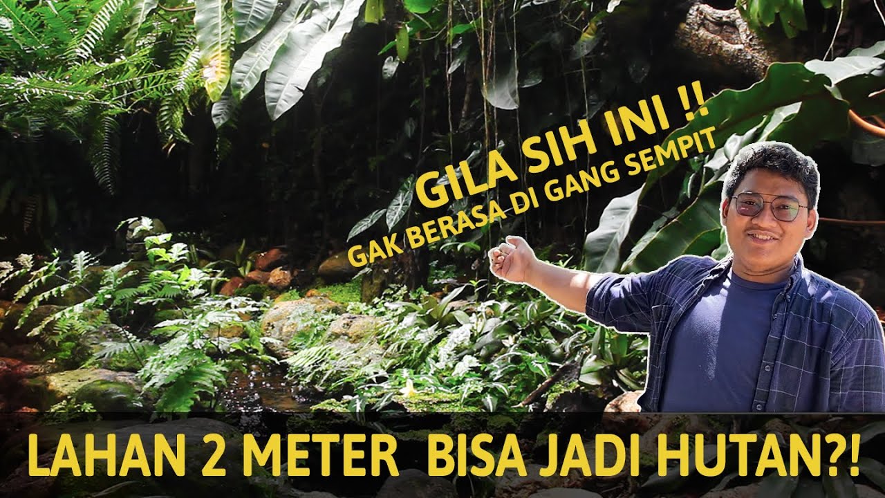 SOLUSI LAHAN SEMPIT, BIKIN TAMAN HUTAN DI RUMAH | Rain Forest Garden By Isti Anggana Landscape