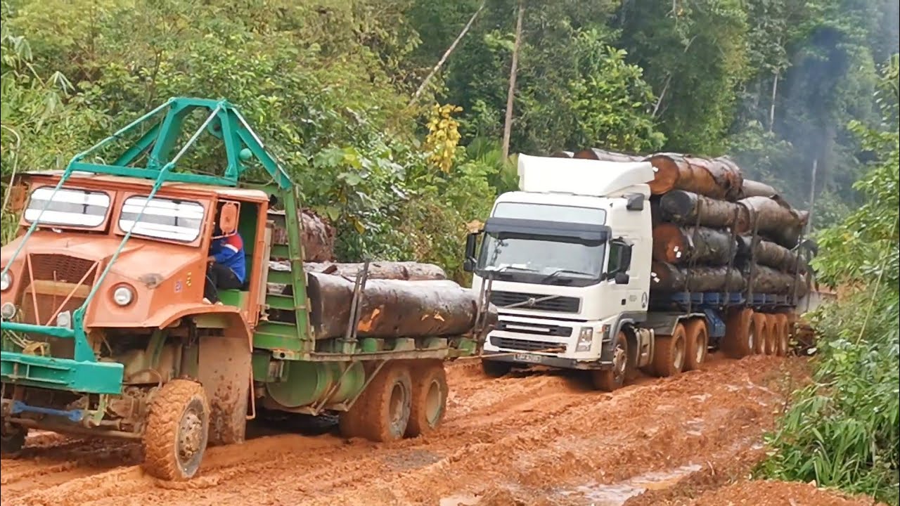 Lori Balak Muazam Pahang Malaysia