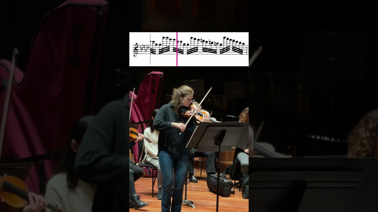 Vivaldi's Four Seasons - Winter ❄