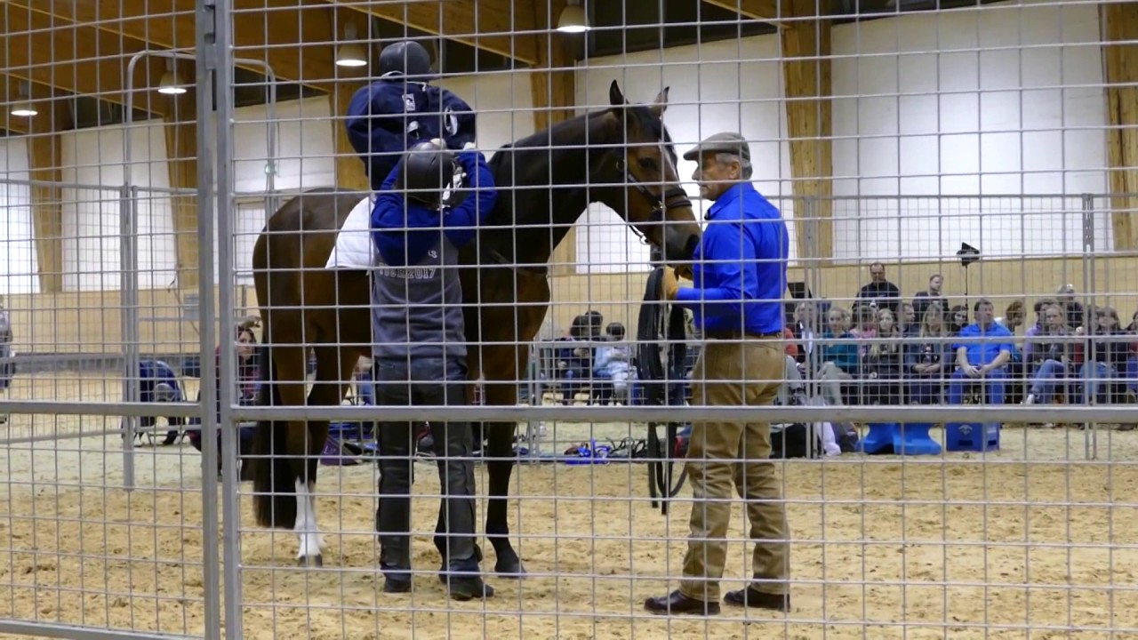 Monty Roberts Tour 2017 Deutschland - Muenchen Riem Olympia Reitanlage - Impressionen