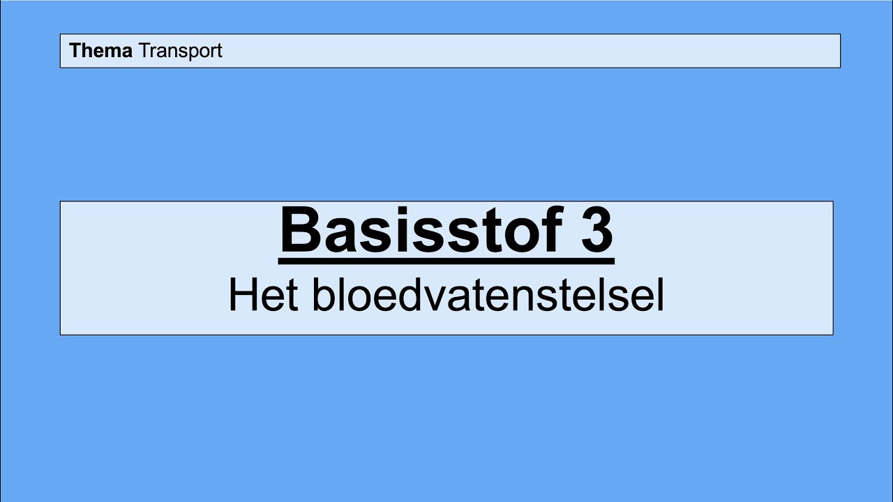 Havo 5 | Transport | Basisstof 3 De bloedvaten